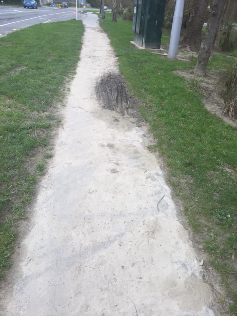 The photograph attached to this roading/streets report