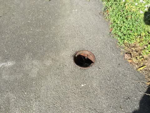 Water Supply, a report photo