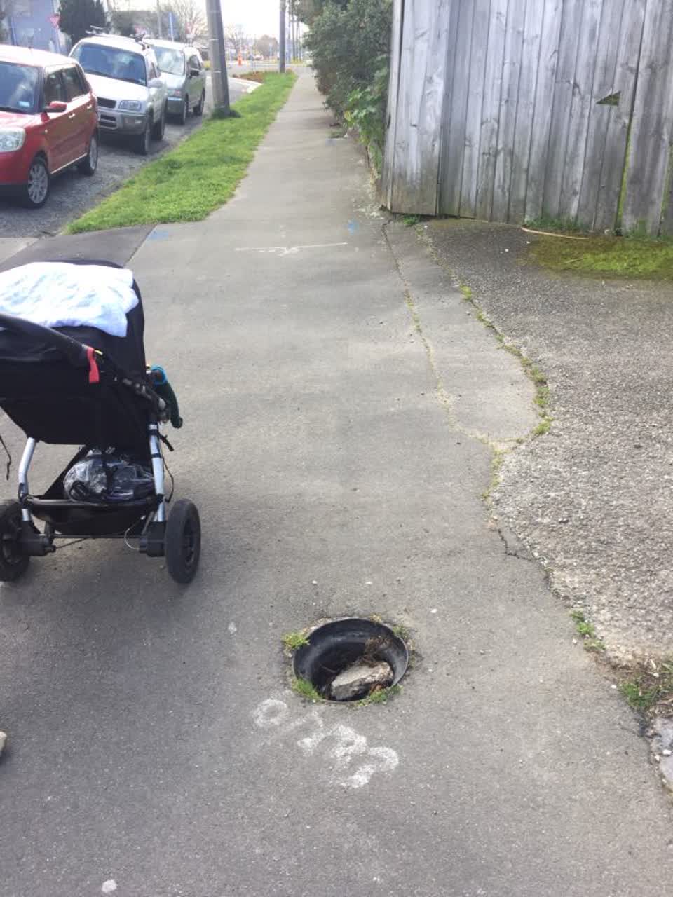 The photograph attached to this roading/streets report