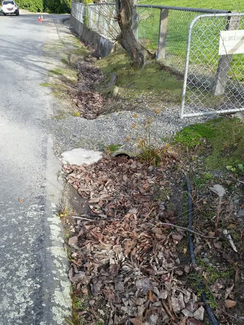 Wastewater/Stormwater, a report photo