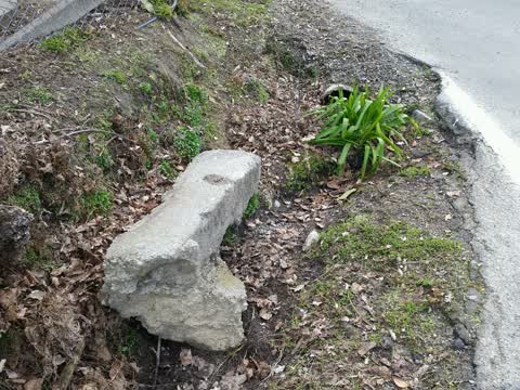 Wastewater/Stormwater, a report photo