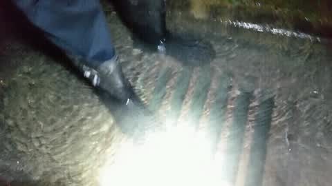 Wastewater/Stormwater, a report photo