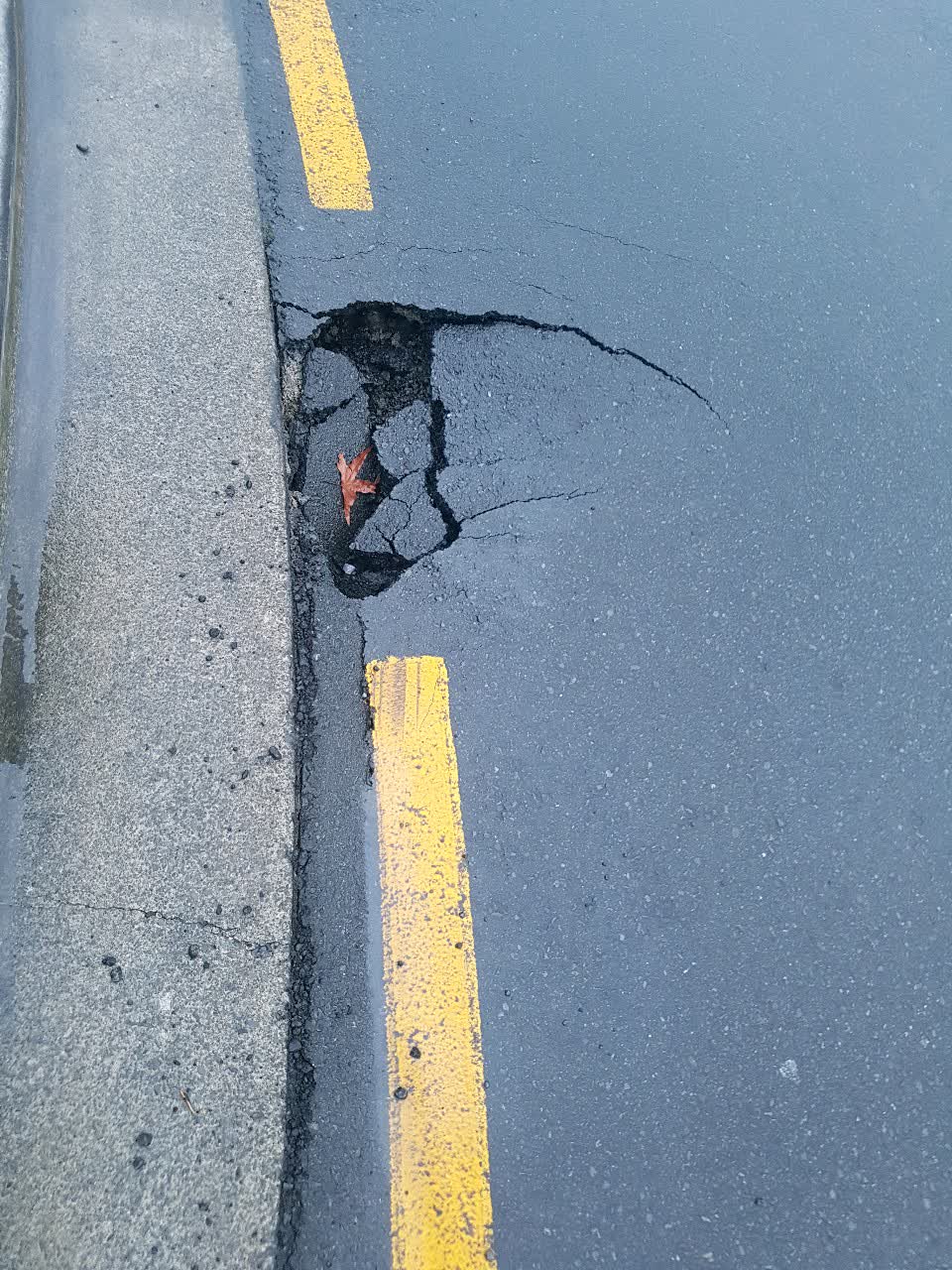 The photograph attached to this roading/streets report