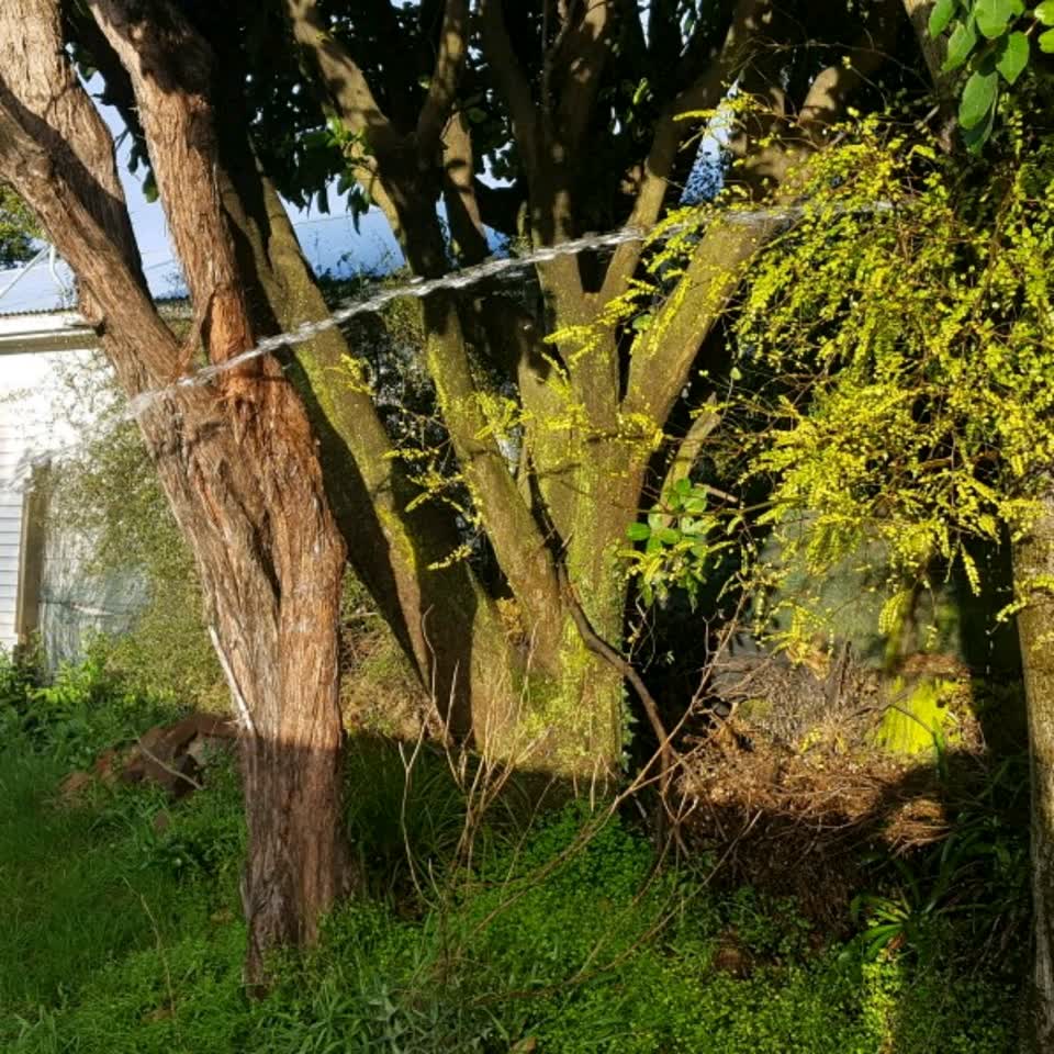The photograph attached to this water supply report