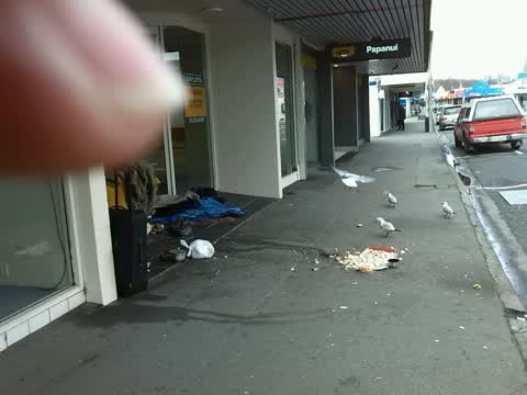 Rubbish/Recycling, a report photo