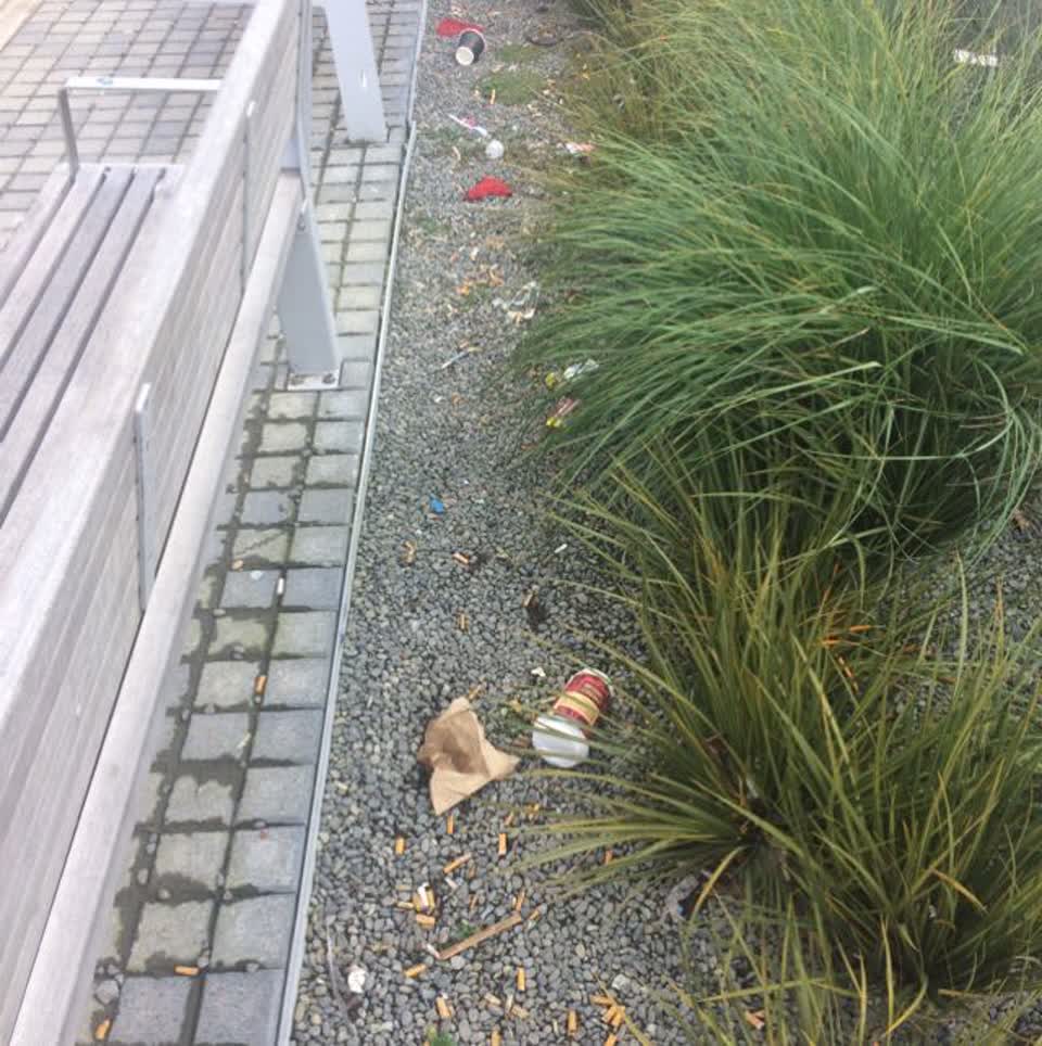 The photograph attached to this rubbish/recycling report