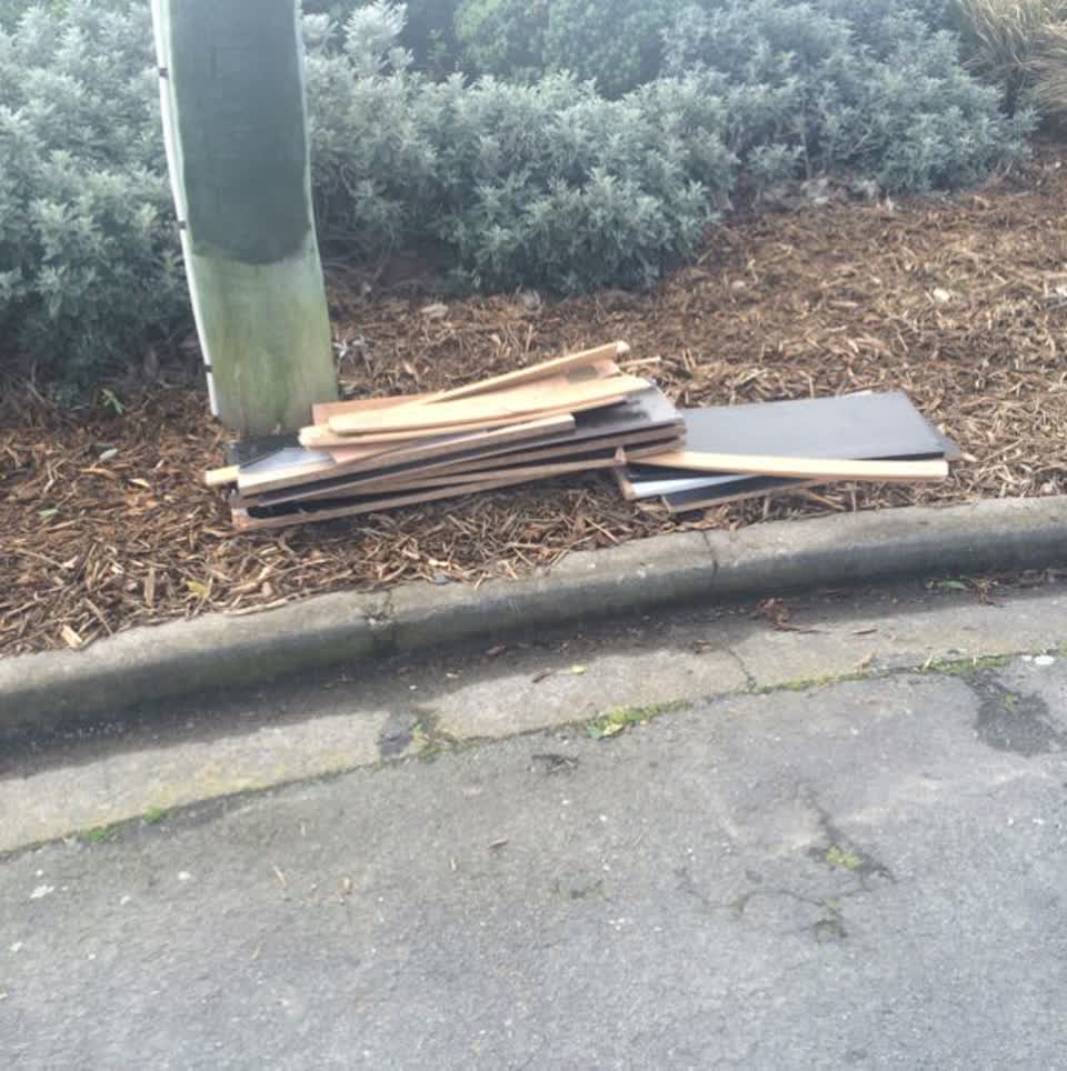 The photograph attached to this parks report