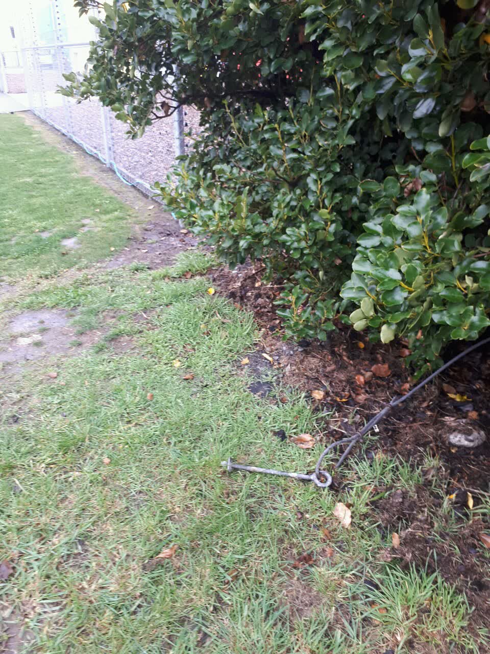 The photograph attached to this parks report