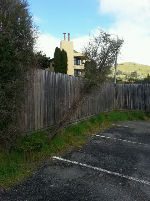 Parks, a report photo