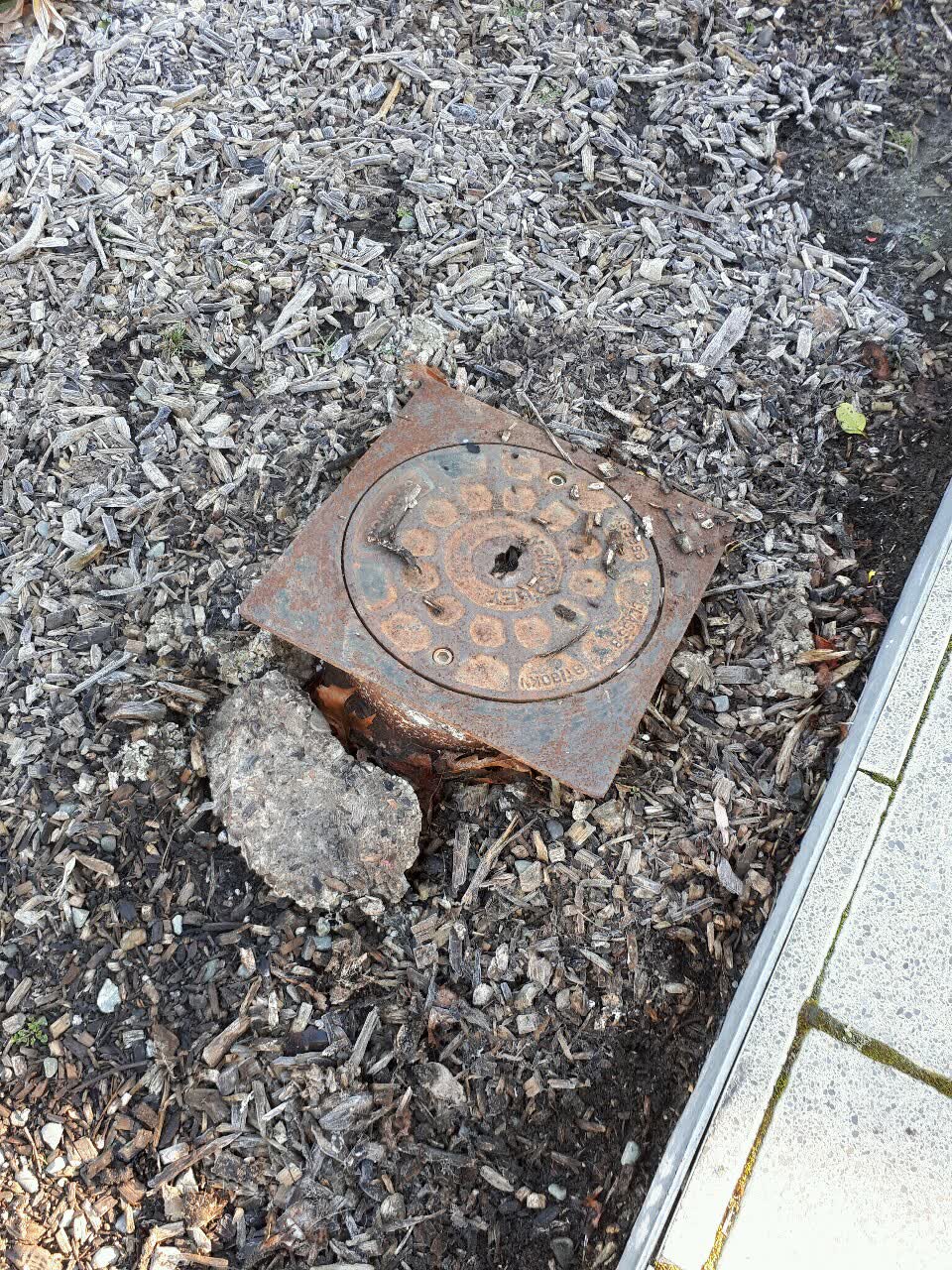 The photograph attached to this parks report