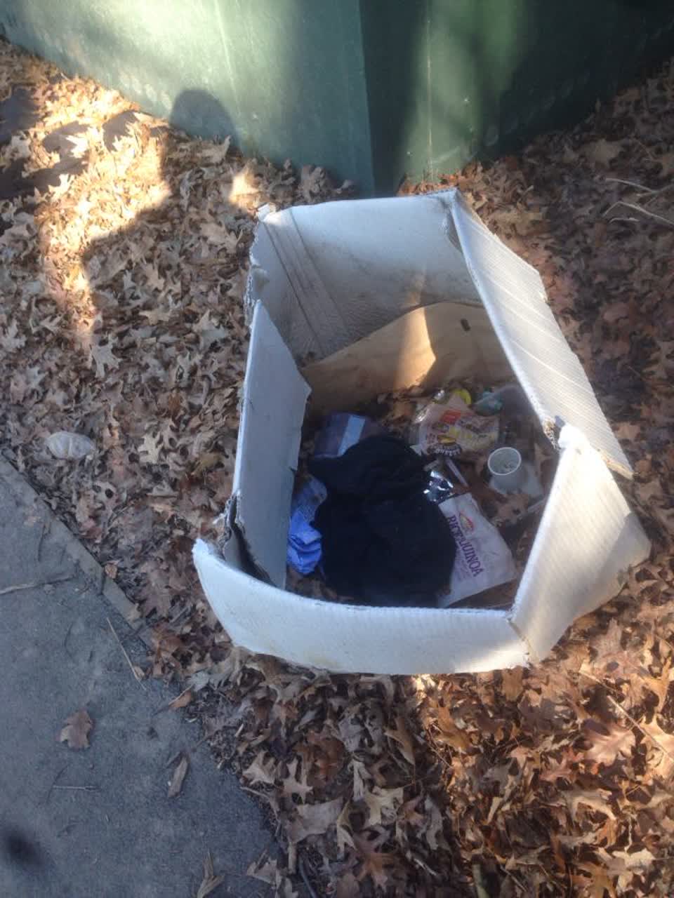 The photograph attached to this rubbish/recycling report