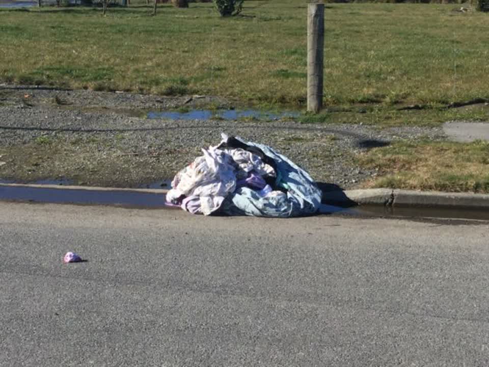 The photograph attached to this rubbish/recycling report