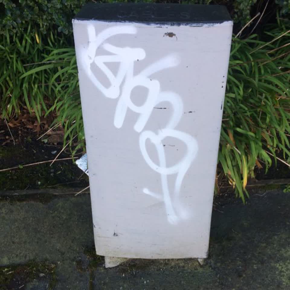 The photograph attached to this graffiti report