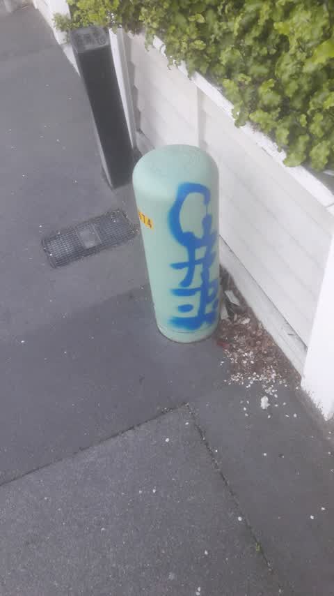 Graffiti, a report photo