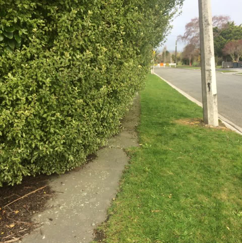 The photograph attached to this parks report