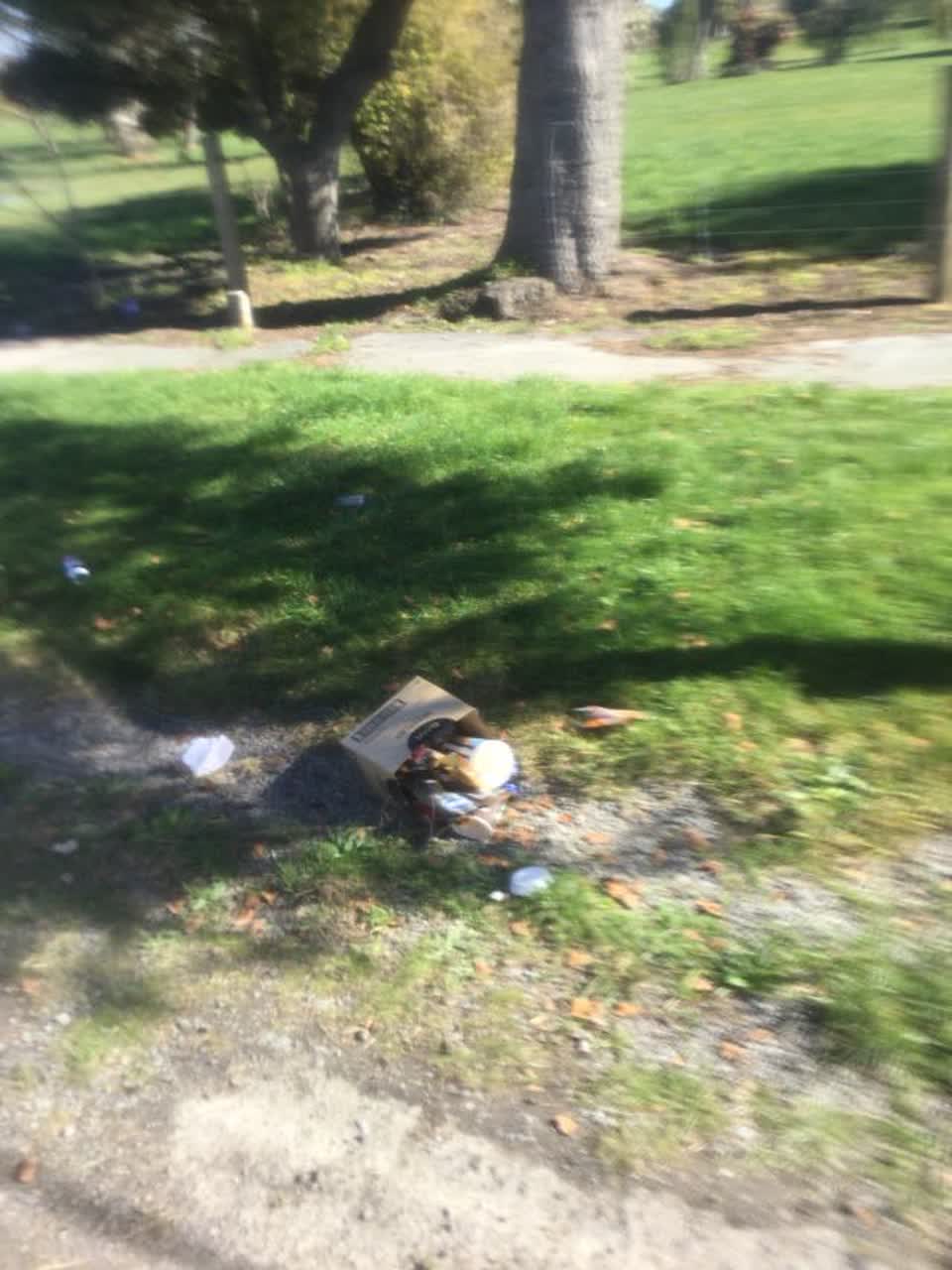 The photograph attached to this rubbish/recycling report