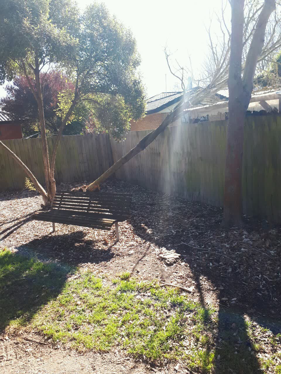 The photograph attached to this parks report