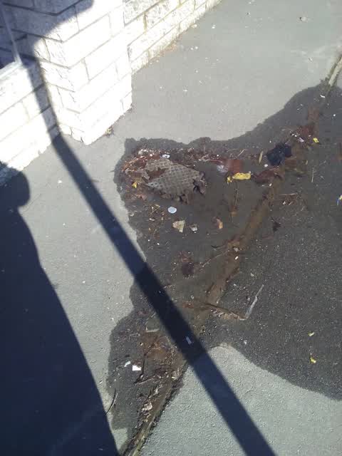 Wastewater/Stormwater, a report photo