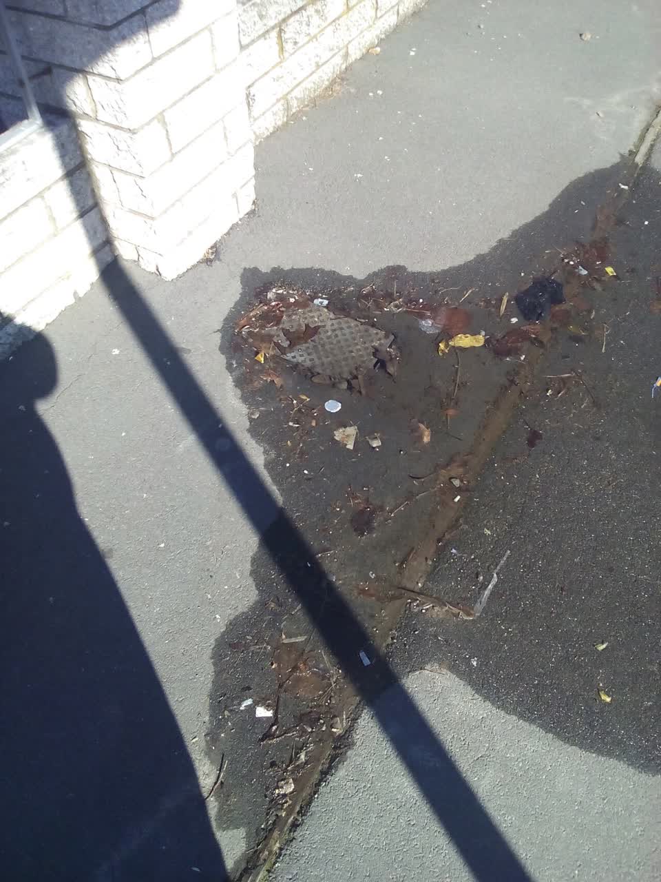 The photograph attached to this wastewater/stormwater report