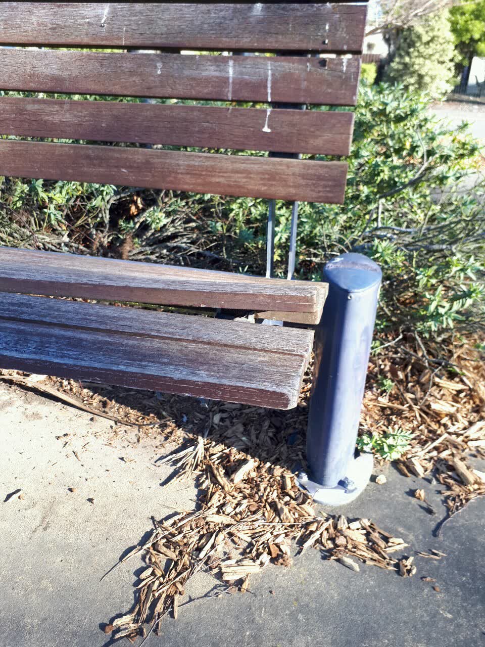 The photograph attached to this parks report