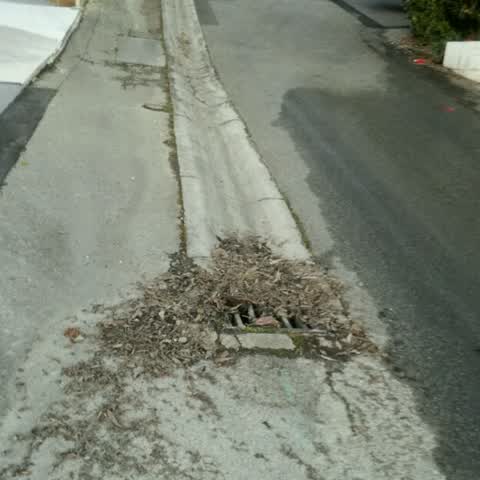Wastewater/Stormwater, a report photo