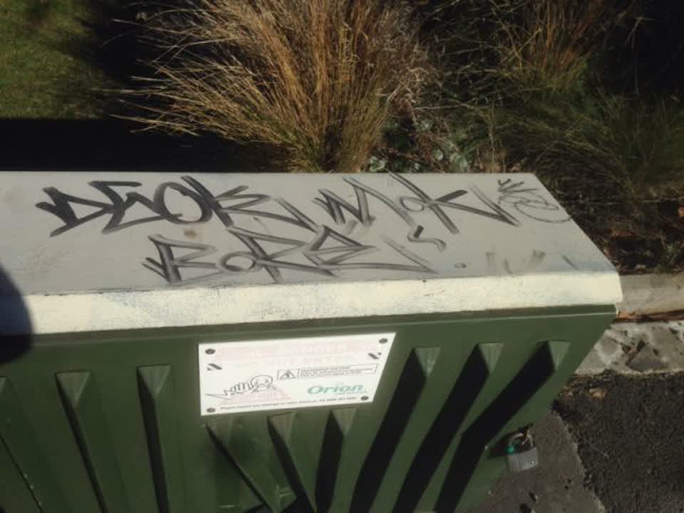 The photograph attached to this graffiti report