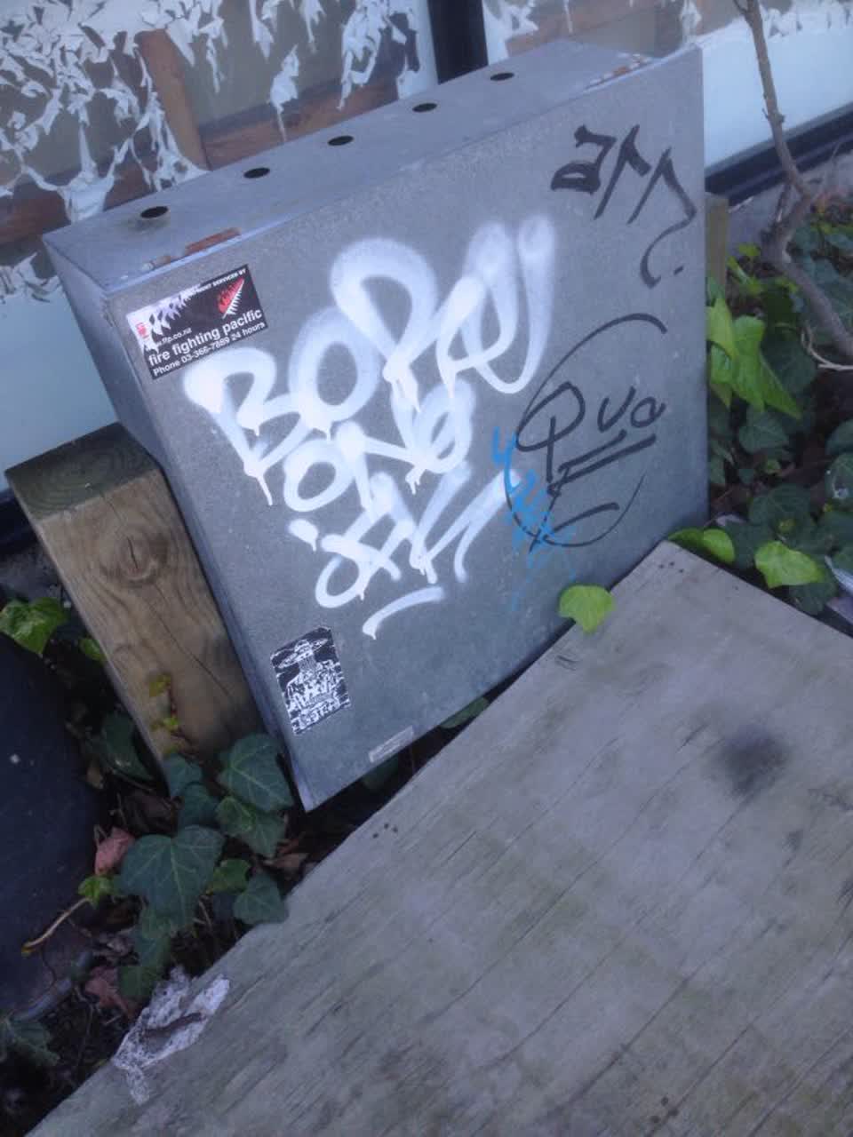 The photograph attached to this graffiti report
