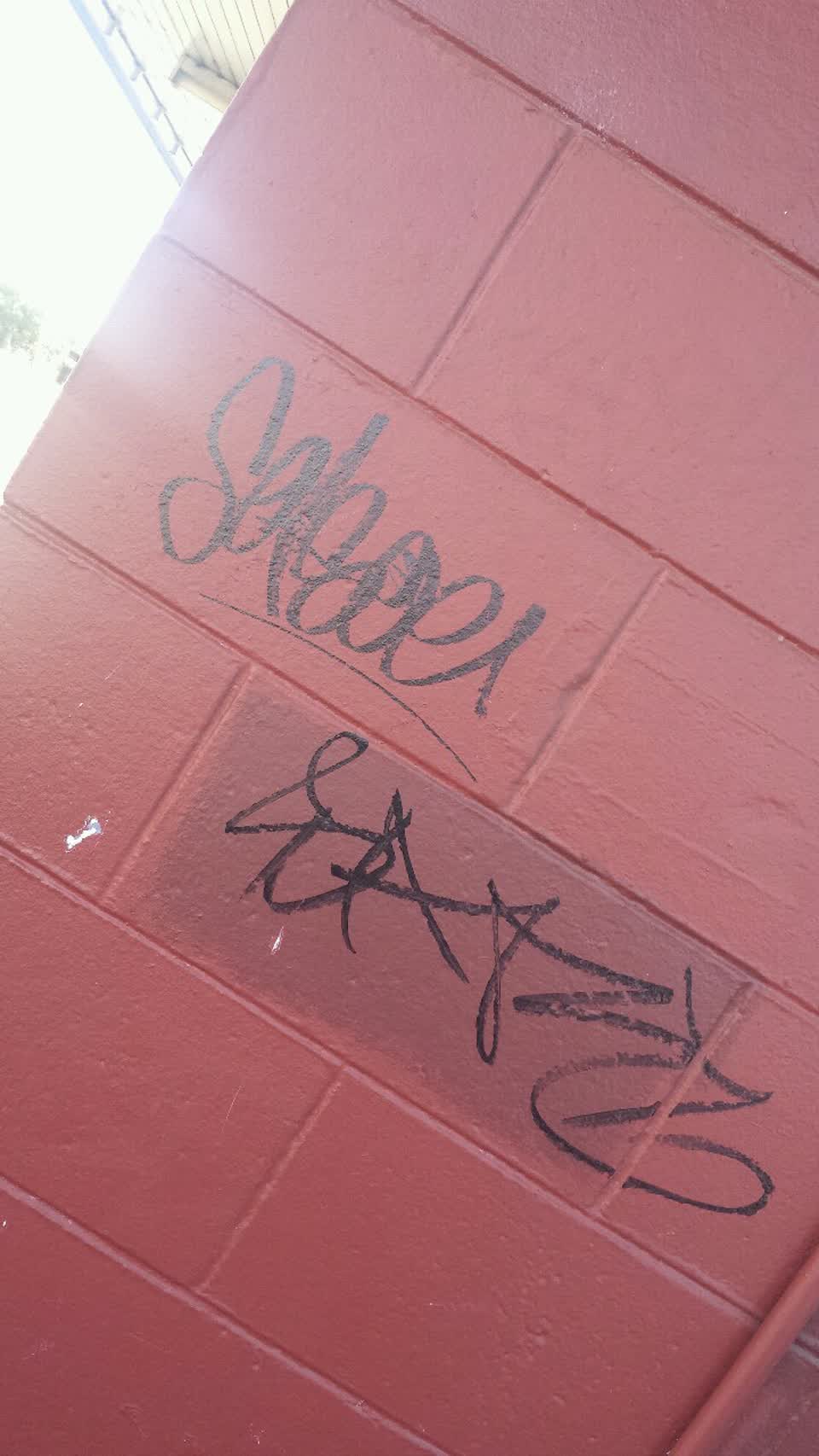 The photograph attached to this graffiti report