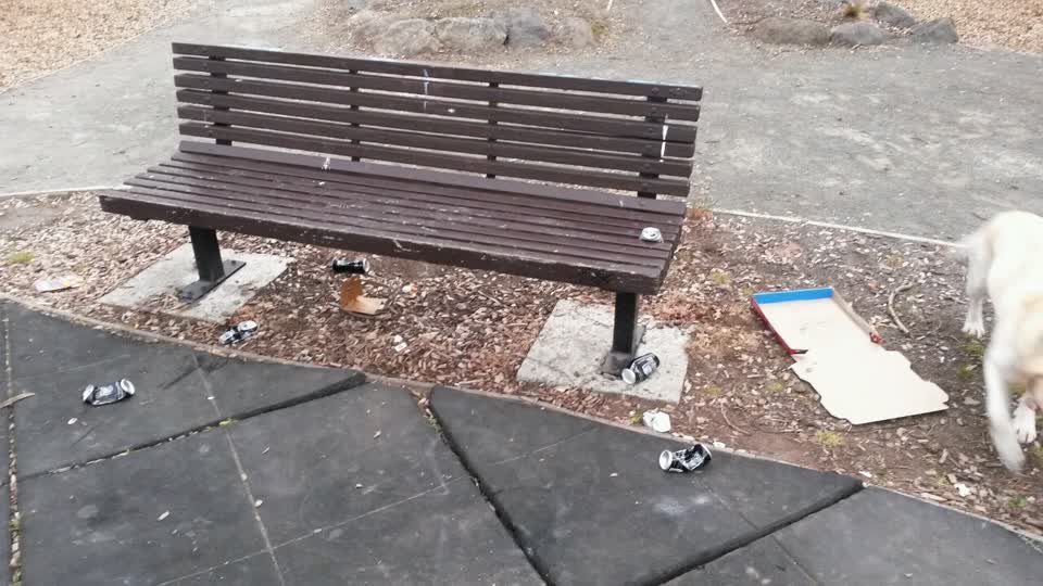 The photograph attached to this parks report
