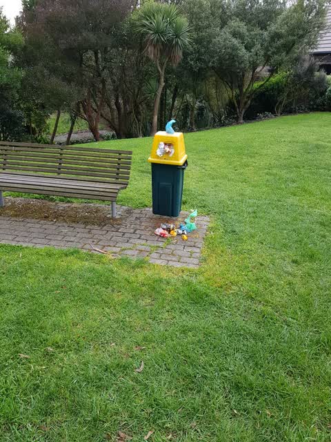 Rubbish/Recycling, a report photo