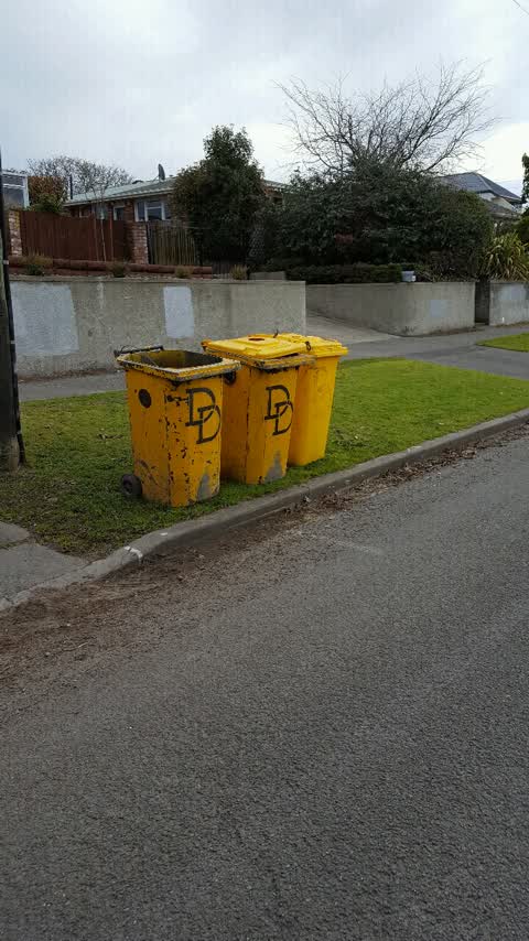 Rubbish/Recycling, a report photo