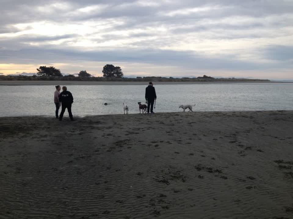 The photograph attached to this parks report
