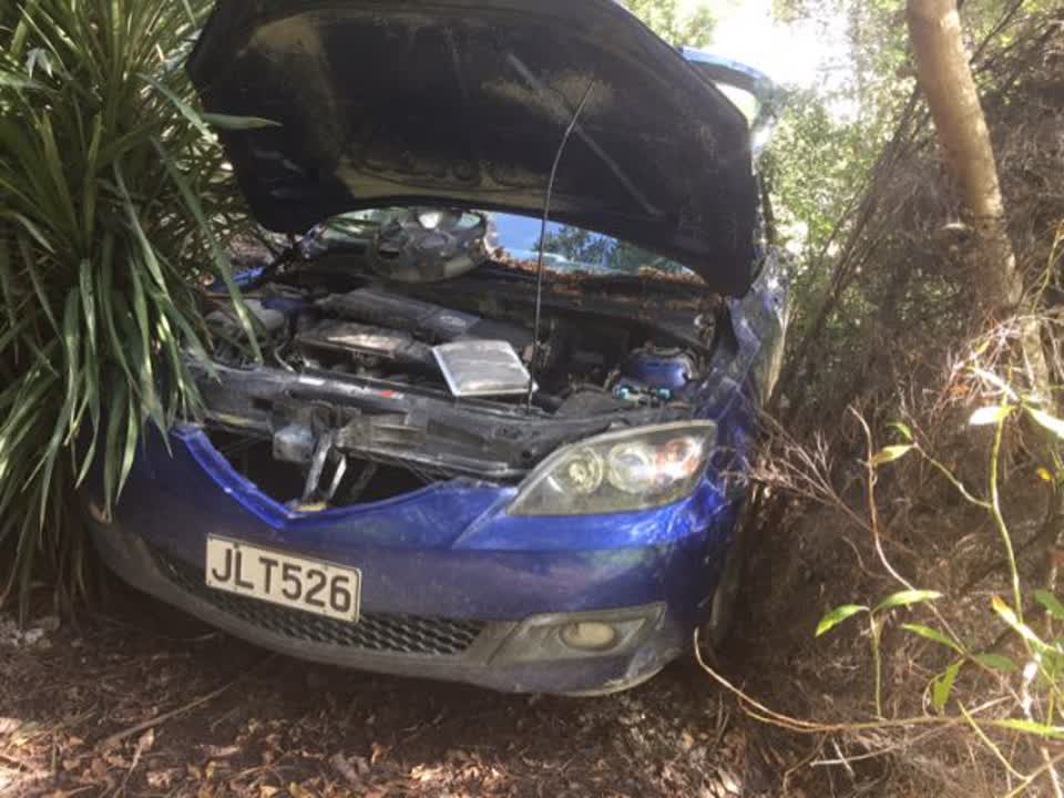 The photograph attached to this parks report