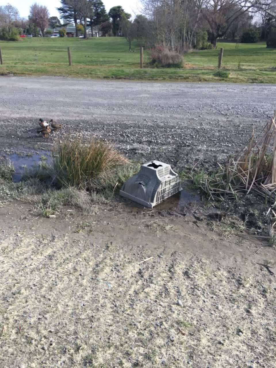 The photograph attached to this rubbish/recycling report