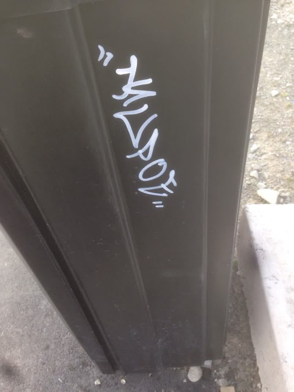 The photograph attached to this graffiti report