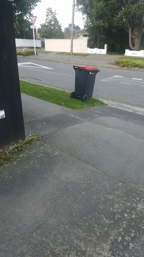 Rubbish/Recycling, a report photo
