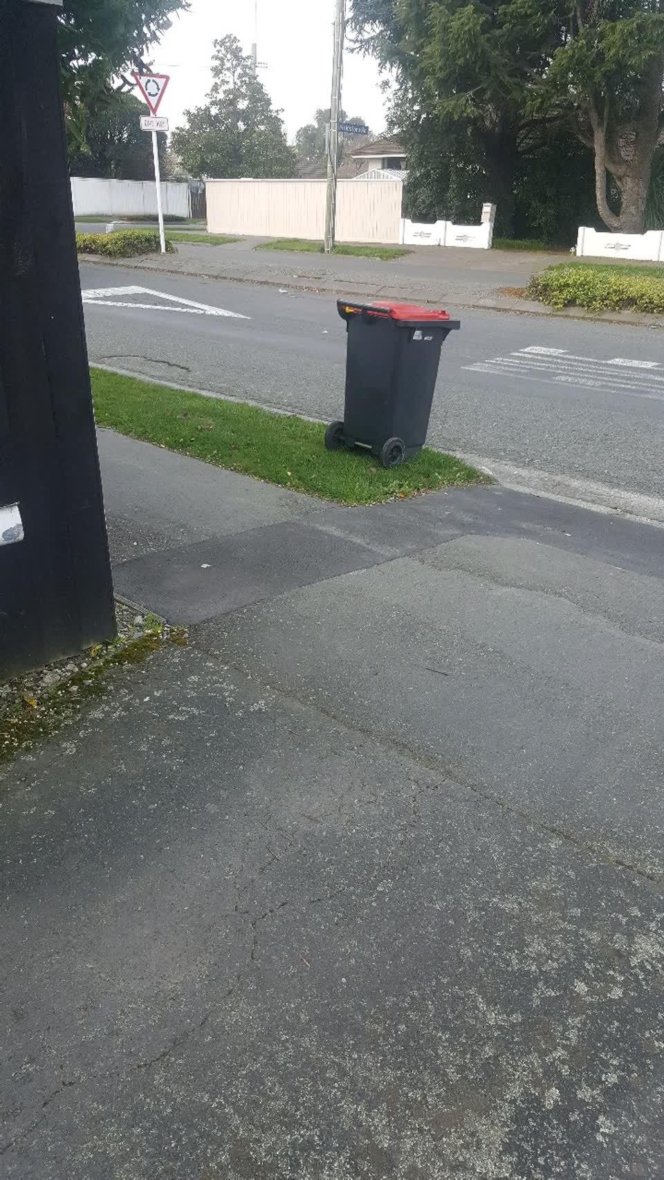 The photograph attached to this rubbish/recycling report