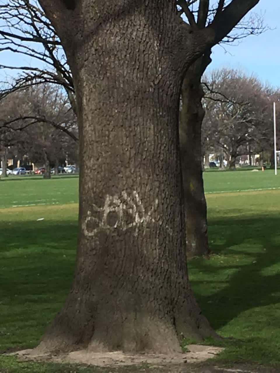 The photograph attached to this graffiti report