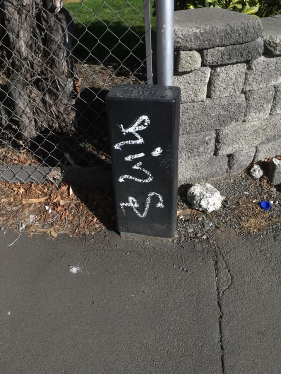 The photograph attached to this graffiti report