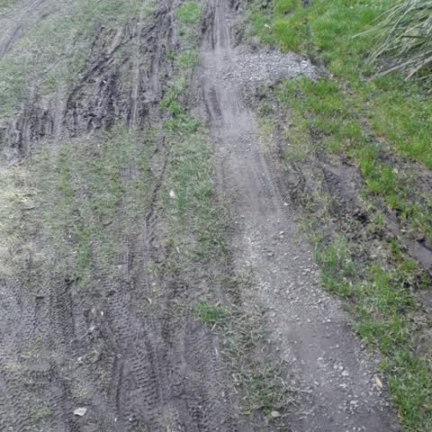 Parks, a report photo