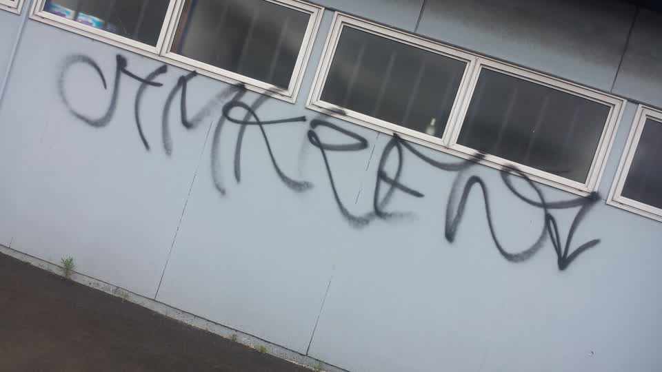 The photograph attached to this graffiti report
