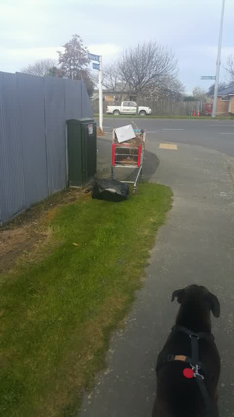 Rubbish/Recycling, a report photo