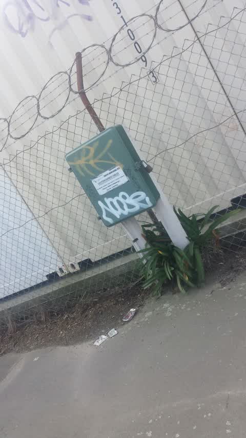 Graffiti, a report photo