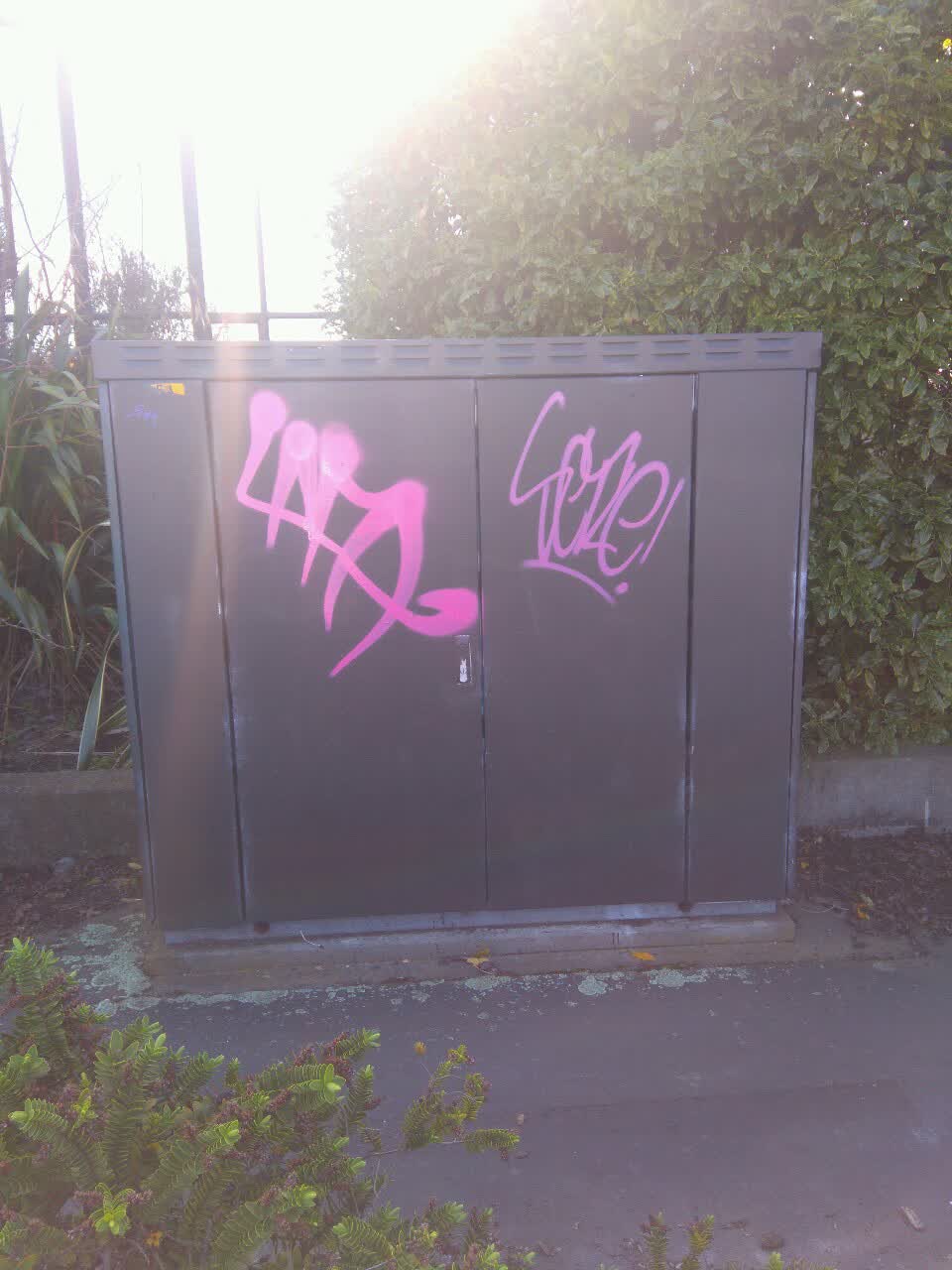 The photograph attached to this graffiti report