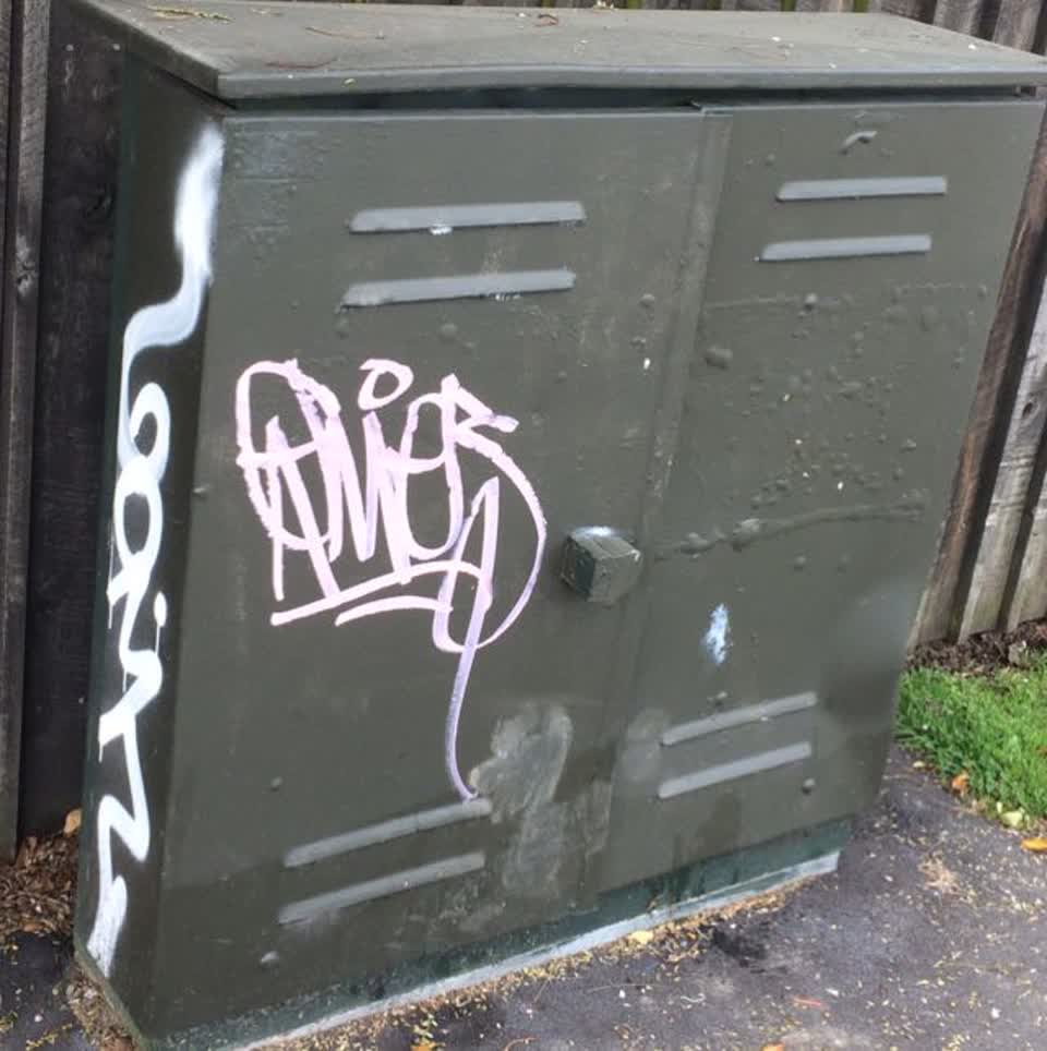 The photograph attached to this graffiti report