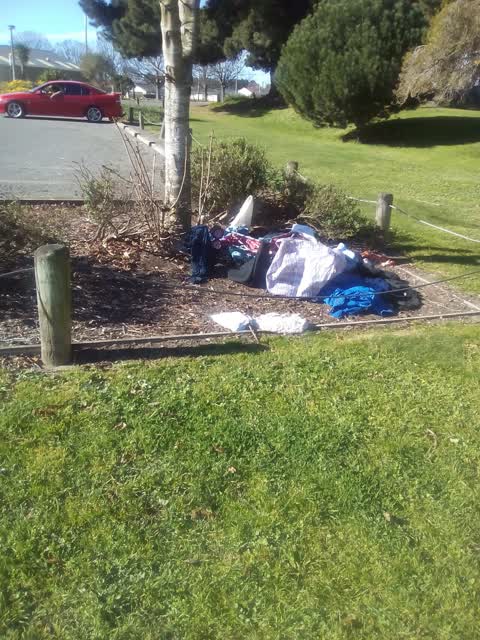 Parks, a report photo