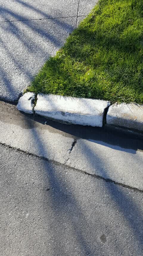 Roading/Streets, a report photo