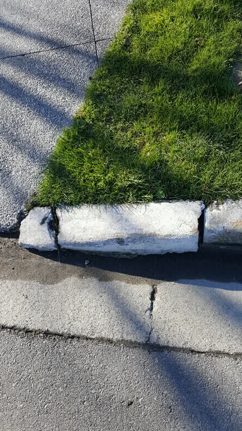 Roading/Streets, a report photo