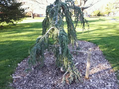 Parks, a report photo