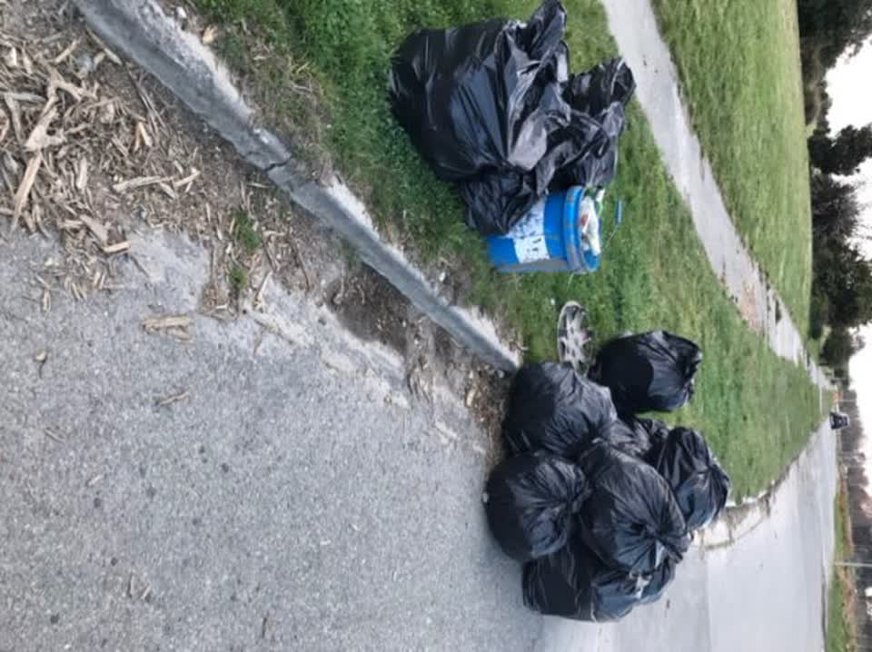 The photograph attached to this rubbish/recycling report